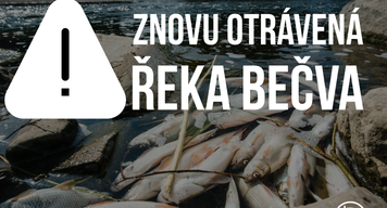 Do řeky Bečvy opět unikla neznámá látka: Piráti žádají vyšetření dnešní i zářijové ekologické katastrofy a lepší ochranu proti znečištění